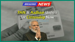 Aadhaar and PAN Fall Short: Discover the Only 2 Documents Now Valid for Citizenship Proof