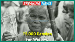 Widow Pension 2025: Discover How to Secure a ₹5,000 Monthly Allowance from the Government